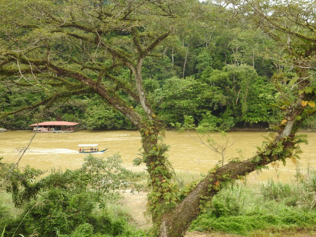 Tebing Guest House Taman Negara Malaysia Kuala Tahan Zewnętrze zdjęcie