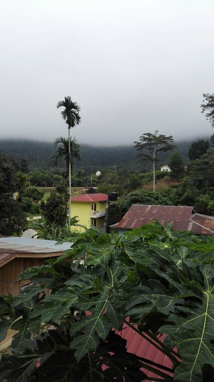 Tebing Guest House Taman Negara Malaysia Kuala Tahan Zewnętrze zdjęcie